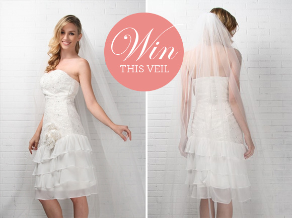 Simply Bridal Veil Giveaway on Hand-Painted Weddings