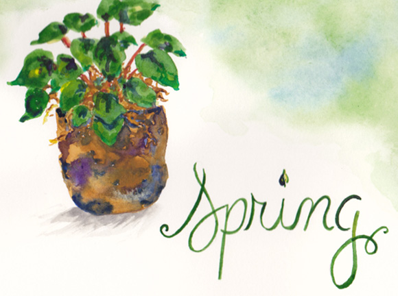 Spring potted plant painting by Hand-Painted Weddings