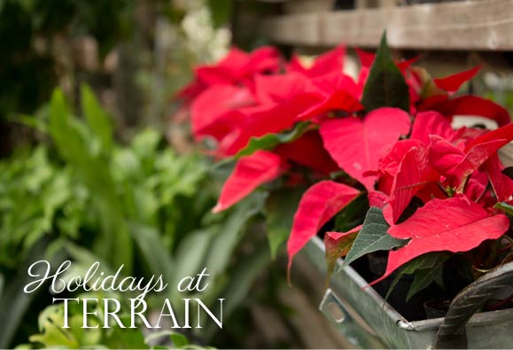 Holidays at Terrain. Photo by Hand-Painted Weddings.